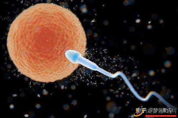 美國試管專家講解人工授精和試管嬰兒的區別(圖14)