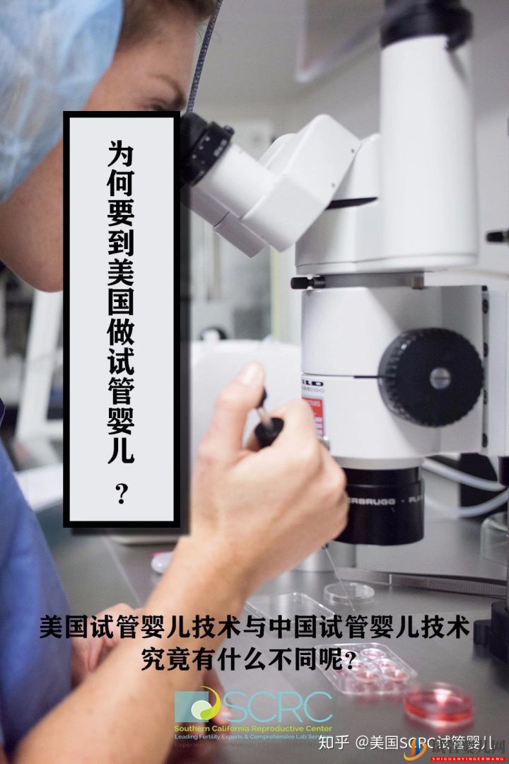 美國試管嬰兒與中國試管嬰兒的差異在哪里呢(圖1)