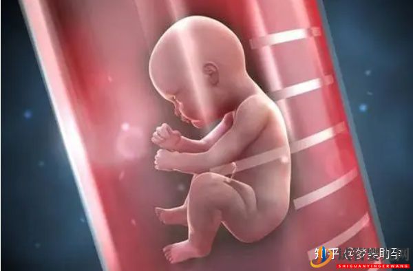 美國試管嬰兒哪家醫院好_優勢有哪些(圖3)