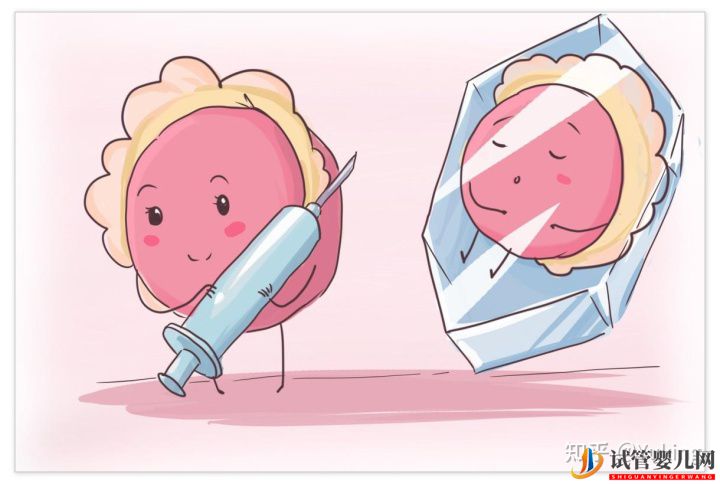 試管嬰兒科普系列四_中美試管大比拼(圖7)