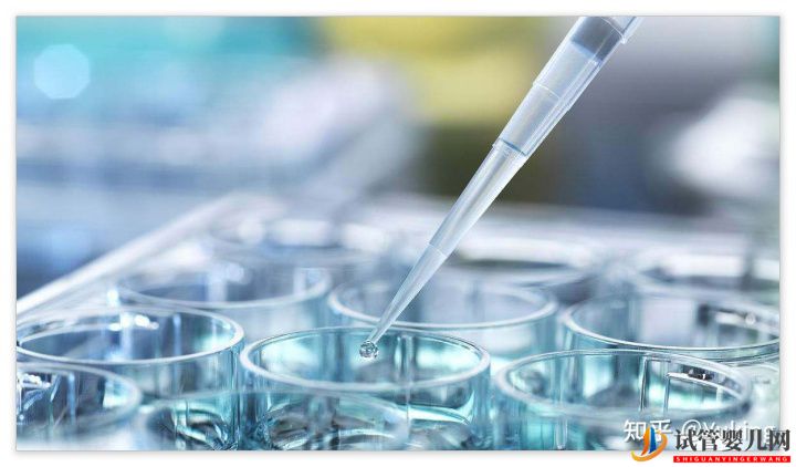 試管嬰兒科普系列四_中美試管大比拼(圖5)