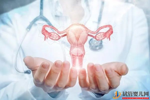 詳解美國第三代試管嬰兒流程(圖1)