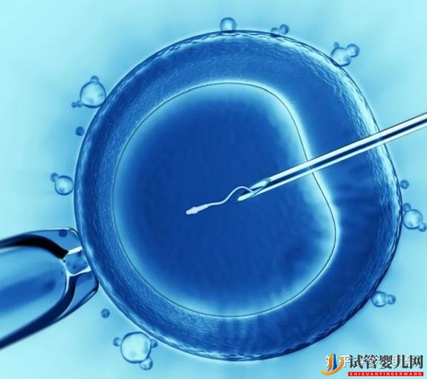 詳解美國第三代試管嬰兒流程(圖5)