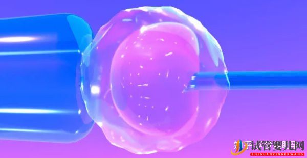 赴美做試管嬰兒怎么選擇靠譜的醫(yī)院(圖7)