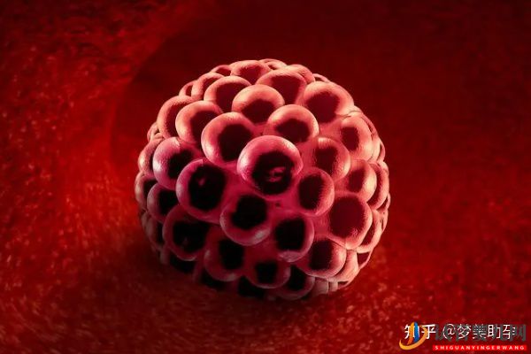 赴美做試管嬰兒怎么選擇靠譜的醫(yī)院(圖5)