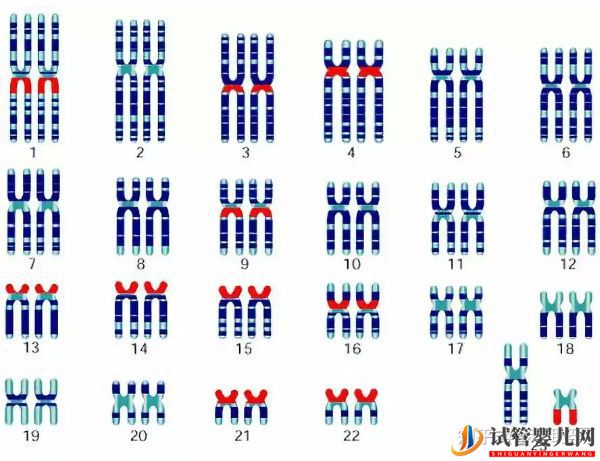 赴美做試管嬰兒怎么選擇靠譜的醫(yī)院(圖10)