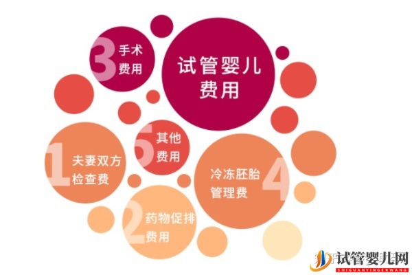 赴美試管嬰兒多少錢,性價比如何(圖1)