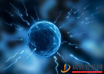 做泰國(guó)試管嬰兒的條件以及需要準(zhǔn)備什么(圖1)