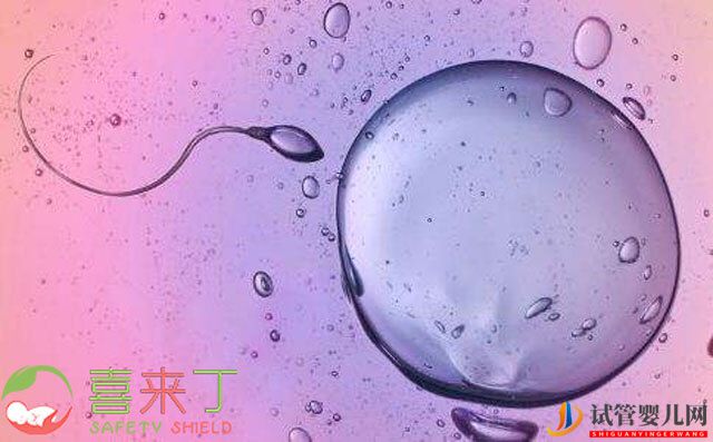 哪些子宮問題會直接影響泰國試管嬰兒的成功率(圖1)