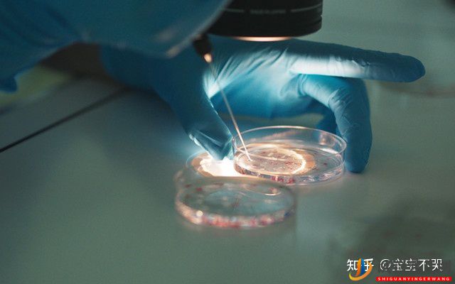 泰國試管包成功的費用是騙局嗎_到底可信嗎(圖2)