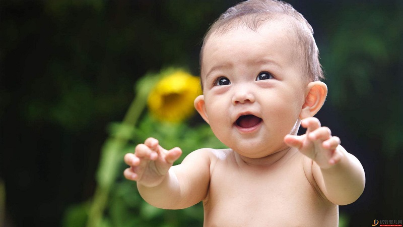 泰國試管嬰兒術(shù)前檢查篇(圖1) 泰國試管嬰兒術(shù)前檢查篇(圖1)