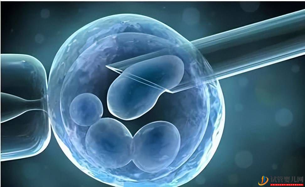 泰國(guó)試管成功率高嗎？(圖2)