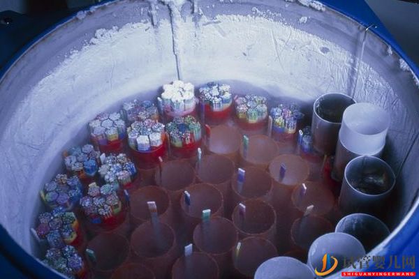 美國試管嬰兒知識問答_取卵半年后再移植,如何保障(圖6)