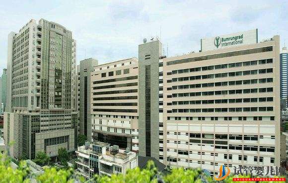 回想起第一次去泰國做試管的經歷(圖4)