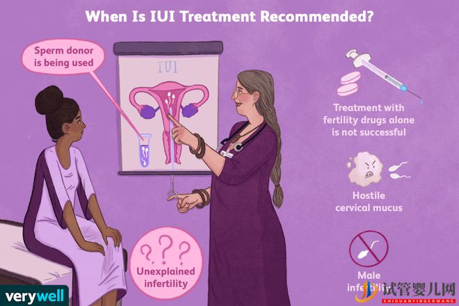 限制試管嬰兒、限制凍卵 單身女性難當媽(圖15)