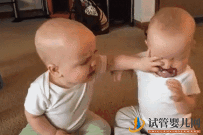 美國試管嬰兒如何達到優生的目的？(圖1)