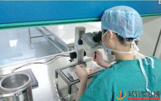 美國試管嬰兒的注意事項,費用和優勢(圖3)