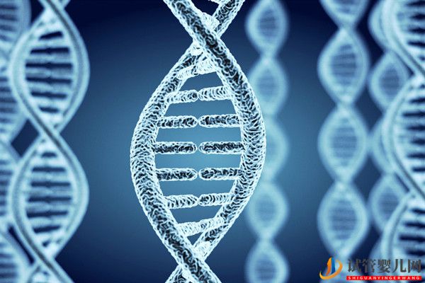 美國(guó)試管嬰兒基因檢測(cè)對(duì)新生兒的意義(圖1)