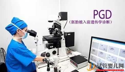 第三代泰國試管嬰兒的技術(shù)與優(yōu)勢!(圖5) 第三代泰國試管嬰兒的技術(shù)與優(yōu)勢!(圖3)