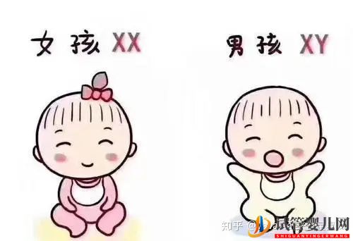 為什么選擇到泰國(guó)試管(圖7)