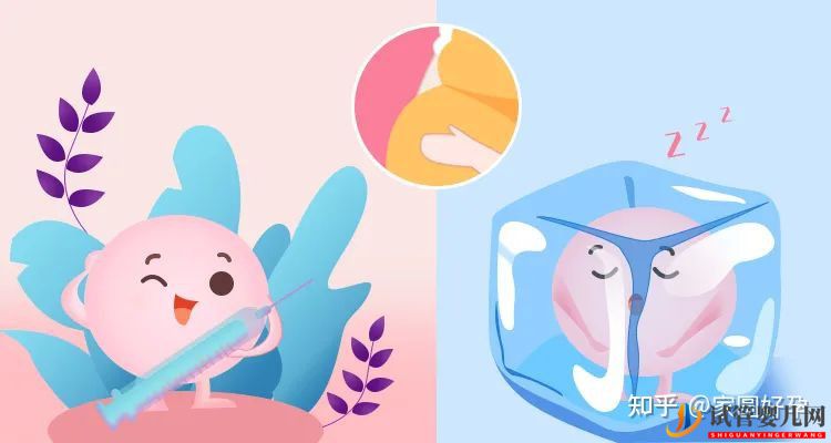 當代人生育成本有多高,做個試管到底需要花多少錢(圖4)