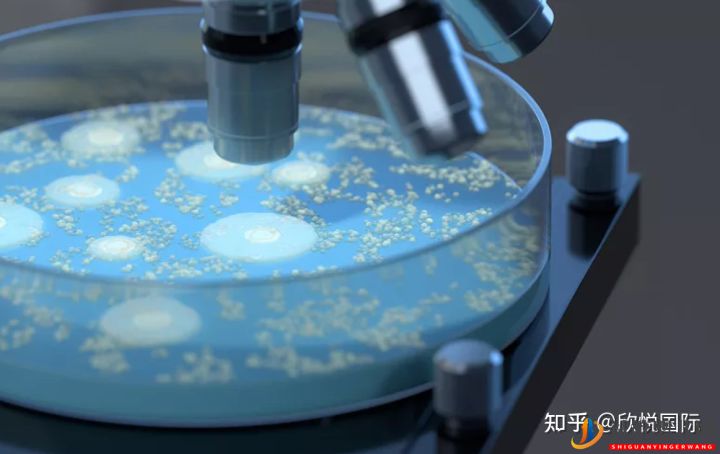 凍胚是什么_了解下凍胚過程!成都凍胚多少錢(圖1)