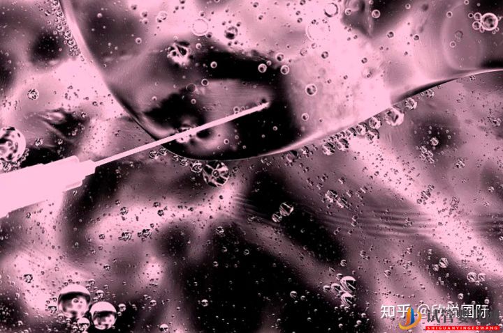 凍胚是什么_了解下凍胚過程!成都凍胚多少錢(圖7)