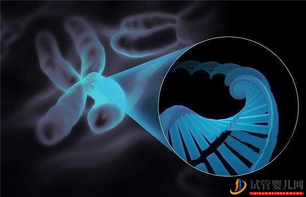 導致試管嬰兒流產的因素有哪些_試管嬰兒怎么提高卵子質量來預防(圖1)