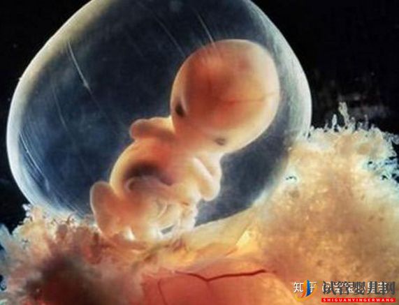 不孕夫婦獨家大揭秘第三代試管嬰兒多少錢(圖2)