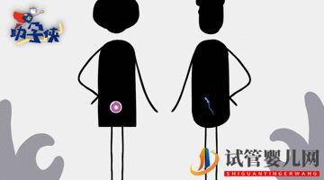 當(dāng)家視頻_試管嬰兒的步驟、預(yù)算和時(shí)間管理(圖2)