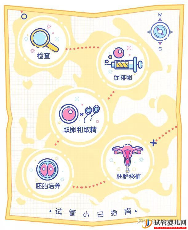 當(dāng)家視頻_試管嬰兒的步驟、預(yù)算和時(shí)間管理(圖3)