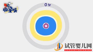 當(dāng)家視頻_試管嬰兒的步驟、預(yù)算和時(shí)間管理(圖5)
