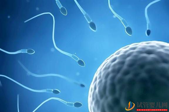 中國第一例試管嬰兒成功當媽對試管嬰兒有什么意義(圖1)