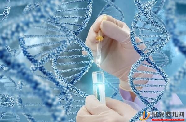 美國試管嬰兒方案制定依據(jù)各環(huán)節(jié)具體操作及重點(diǎn)(圖9)