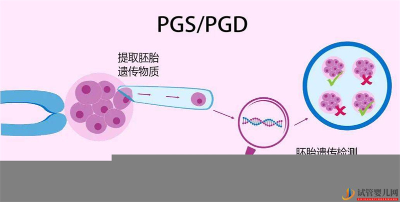 “第三代試管嬰兒技術”的前世今生(圖2)