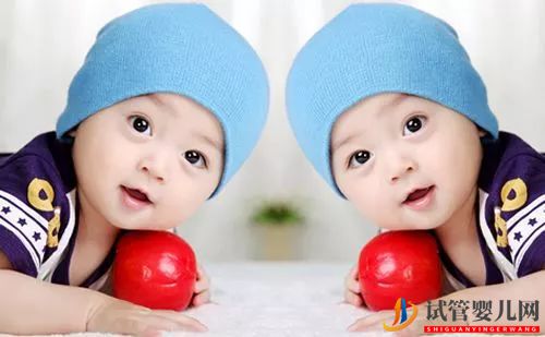 泰國試管嬰兒懷雙胞胎幾率大嗎(圖1)