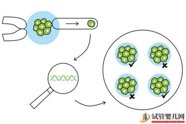 美國第三代試管嬰兒費用是多少,成功率多高(圖5)