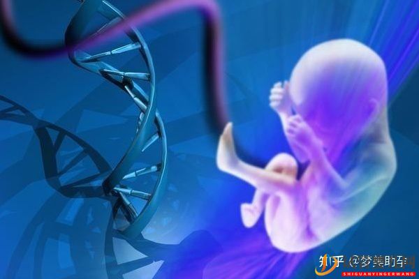 美國第三代試管嬰兒費用是多少,成功率多高(圖3)