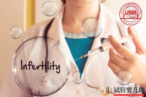 美國試管嬰兒價格費用全攻略(圖1)