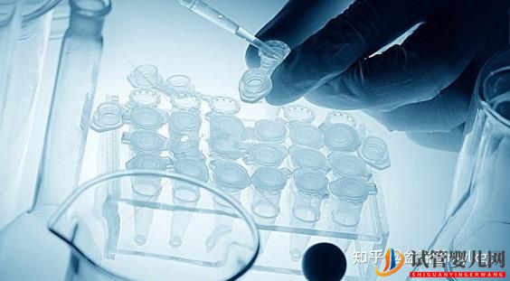 同性戀如何通過試管嬰兒實現擁有寶寶愿望的(圖1)