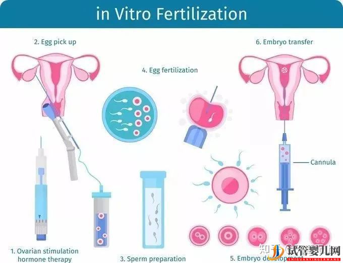 試管周期是什么意思_一個周期要多久(圖1)