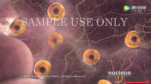 試管周期是什么意思_一個周期要多久(圖6)