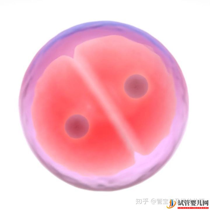 試管移植前的這些激素值達標了,成功率自然高(圖2)