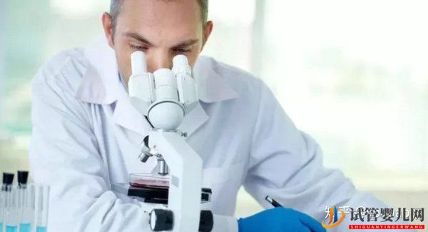 做試管嬰兒的具體步驟是怎樣的_一文給你講解試管(圖6)