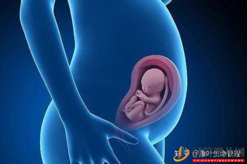 關于試管嬰兒與正常嬰兒的區別,你看這一篇就足夠了!(圖3)