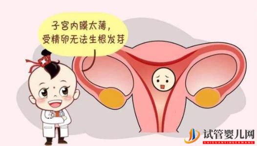 女性子宮內膜薄可以做試管嬰兒嗎？(圖1)