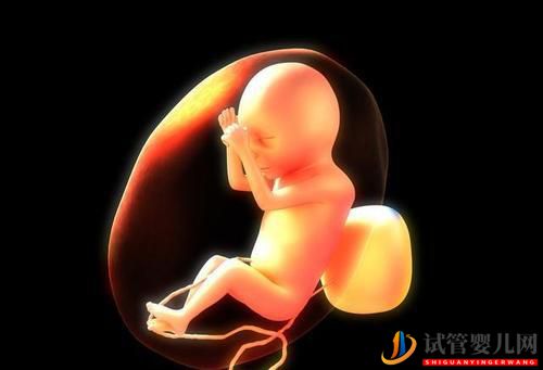 女性雌二醇低可以做試管嬰兒嗎有什么影響(圖1)