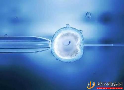 女方正常老公不育,這種情況要怎么做試管嬰兒(圖2)