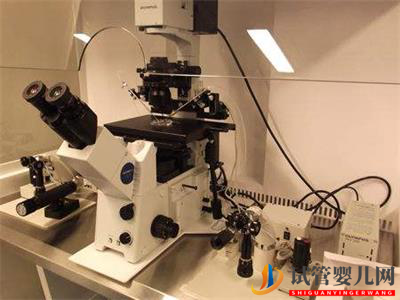 怎么知道美國(guó)試管嬰兒是否正規(guī)，專家教你辨別方法(圖2)