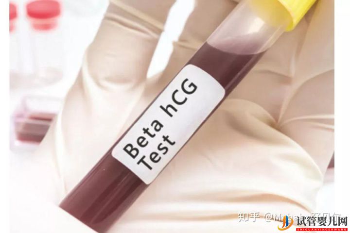 移植后的14天,胚胎發生了這樣的變化!(圖3)